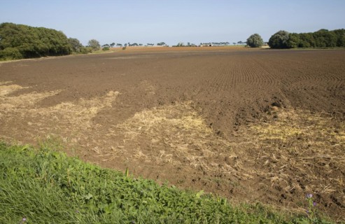Freshly tilled field, Alderton, Suffolk, England, United Kingdom, Europe