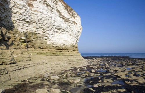 Coastal scenery at Flamborough Head, Yorkshire, England, United Kingdom, Europe