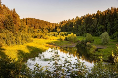 The Lehnmühle dam is a dam in the Free State of Saxony. It is located in the Osterzgebirge in the