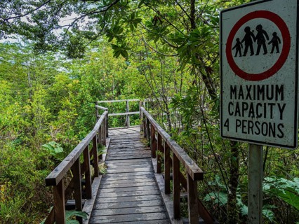 Suspension bridge on trail to viewpoint at Ventisquero Colgante (hanging glacier), Park Quelat,