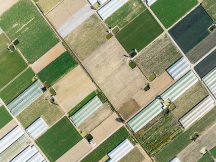 Cultivated fields in the semi rural district of La Algaida next to Sanlúcar de Barrameda. Aerial