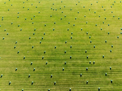 Meadow full of colored hay bales, aerial view, southern coast, Iceland, Europe