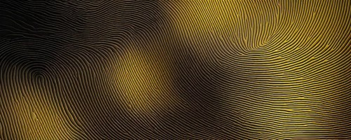 Fingerprint background dominated by swirl patterns in yellow hues, AI generated