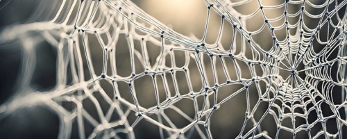 Network of interconnected shapes inspired by the structure of spider silk representing strength and