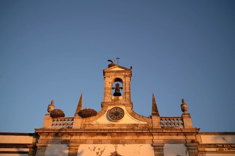Stork nests, nest, storks nesting on city archway, archway, Arco da Vila, old town, Faro, Algarve,