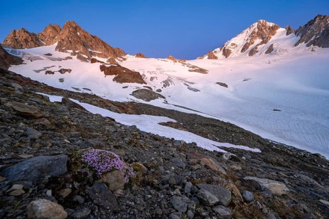 High alpine mountain landscape at sunset, Glacier du Tour, glacier and mountain peak, summit of the
