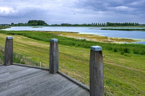 Sophia Polder, Sophiapolder, nature reserve and refuge for water birds near Oostburg, Zeeland,