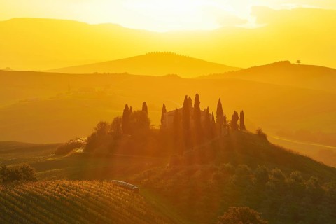 A beautiful countryside scene with rolling hills bathed in golden morning light, featuring a
