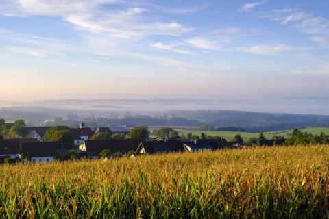 Sunrise with fog, Offingen am Bussen, Swabian Alb, Upper Swabia, Swabia, Baden-Württemberg,