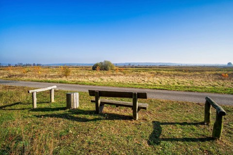 Rest area on the cycle path, Lower Oder Valley National Park, Schwedt, Brandenburg, Germany, Europe