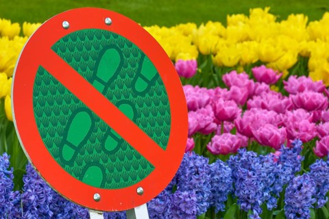 No trespassing sign, in the background, hyacinths (Hyacinthus), and tulips (Tulipa), spring,