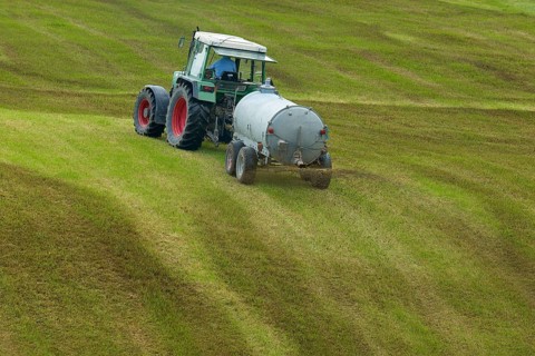 Tractor spreading liquid manure on a green field, meadow, Bavaria, Germany, Europe