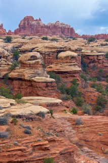 Impressive red rock formations in a dry canyon landscape under a slightly cloudy sky, Canyonlands