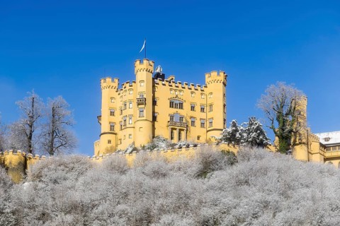 Fairytale yellow castle in winter with snow-covered trees under a blue sky, Hohenschwangau Castle,