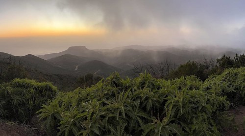 Sunset, view from the mountain Alto de Garajonay, Garajonay National Park, La Gomera, Canary