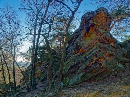 The Dörenther Cliffs, boulders and trees rooted into the rock, in the UNESCO Geopark TERRA vita in