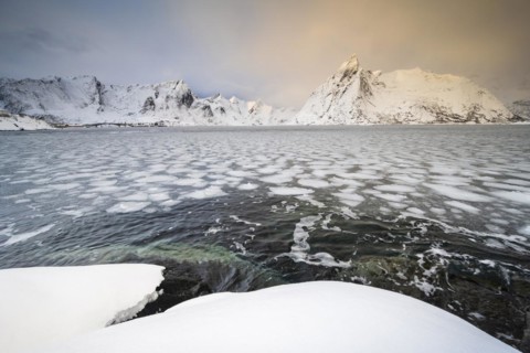 Ice floes in the fjord, snow-covered mountains, Reinefjord, Hamnoy, Reine, Lofoten, Norway, Europe