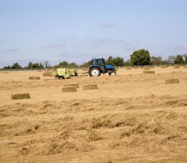 Tractor harvesting hay in field, Hollesley, Sufolk, England, United Kingdom, Europe