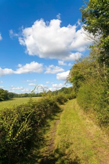 Country footpath through fields and hedgerows, Honeypot Lane, Peakhill Farm, Theberton, Suffolk,