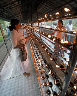 Sri Lankan pilgrims pour oil into candle holders at the Buddhist Temple of the Tooth or Sri Dalada