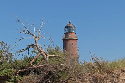 Lighthouse, beach, dead tree, break-off edge, Darßer Ort, Born a. Darß, Mecklenburg-Vorpommern,