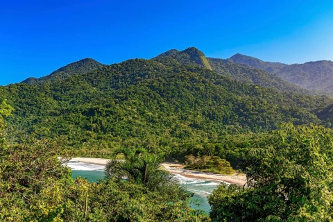 Beautiful Bonete Beach on the island of Ilhabela hidden between the sea and rainforest, Bonete