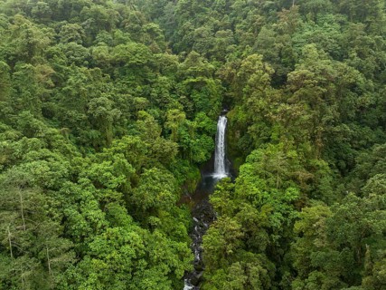 Aerial view, waterfall in the rainforest, Catarata de la Paz, La Paz Waterfall Gardens Nature Park,