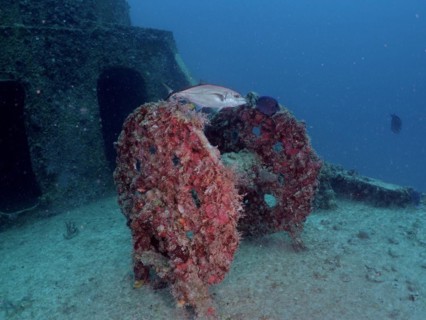 An abandoned underwater wreck covered in marine life with a fish swimming by. Winch on the wreck of