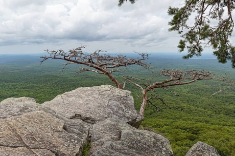 Overlook along the Pulpit Rock Trail in Cheaha State Park, Alabama, USA, North America