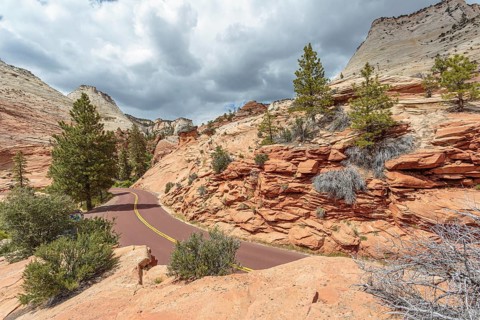 Patterns of erosion on the rocky mountainside along the Zion Park Boulevard in Zion National Park,