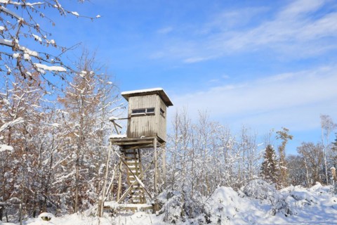 Hunter's hide, hunting hide in a snowy winter forest, Siegerland, North Rhine-Westphalia, Germany,