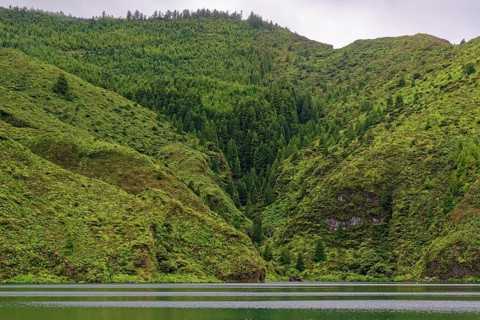 A tranquil lake surrounded by dense, green mountains and forests that create a peaceful and natural