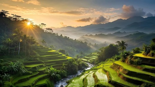 Early morning light bathes Philippines rice terraces cascading down mountain slopes, AI generated
