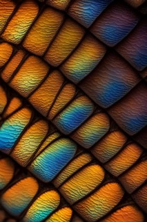 Vibrant butterfly wing with iridescent scales and network of veins, AI generated