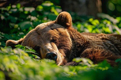 Grizzly bear sleeping on forest ground. Generative Ai, AI generated