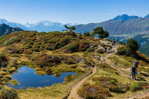 Hiking on the Moranenweg, Riederalp, tourism, hiking, hike, blue sky, Matterhorn, Aletsch Arena,