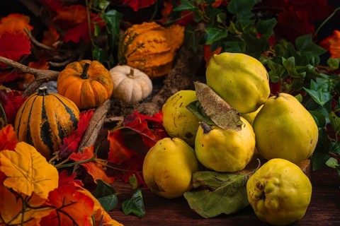 Autumnal still life with quinces, pumpkins and colourful autumn leaves