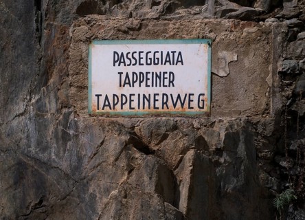 Signpost Tappeinerweg, Tappeiner promenade, high-altitude hiking trail, Merano, Meran, South Tyrol,