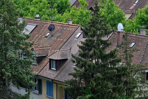 Symbol photo Apartment blocks Old flats Roofs