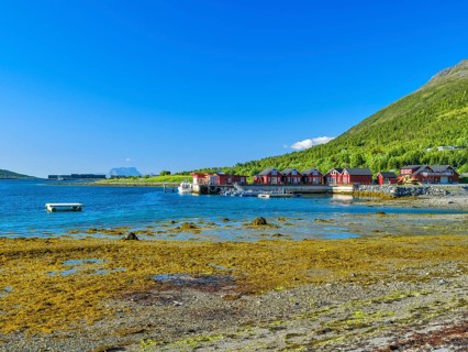 Rorbuer at the Lyngenfjord, Lyngenalps, mountains with snow, blue sky, European North Sea, Troms og