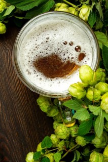 A mug of beer, on a wooden table, with a branch of fresh hops, rustic, no people