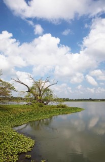 Debara Wewa Reservoir, Tissamaharama, Southern Province, Sri Lanka, Asia