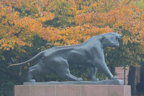 Sculpture Striding Tiger by Philipp Harth 1969, bronze, lion figure, Black panther, orange, autumn