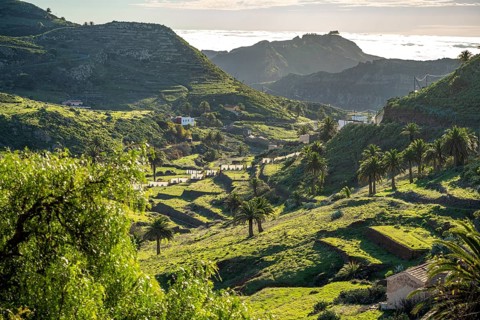 Landscape in the valley of Arure, La Gomera, Canary Islands, Spain, Europe
