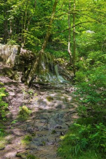Small waterfall at the Gönningen lakes, calcareous tufa nature trail, idyll, nature, at the foot of