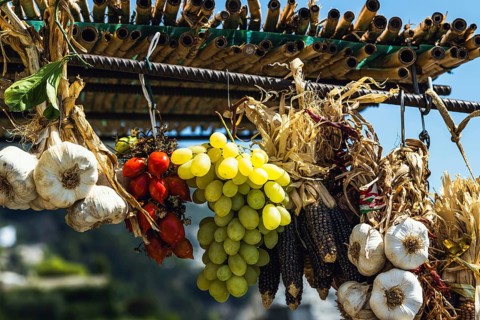 Fruits and vegetables at the roadside shop on Amalfi Drive, Amalfi Coast, Positano, Italy, Europe