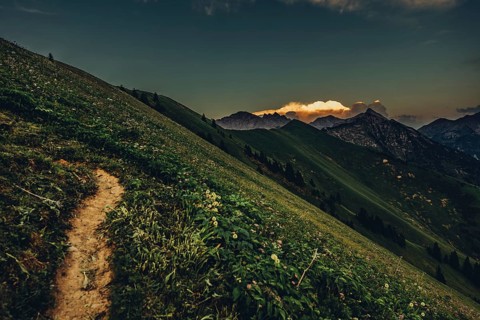 Hiking tour on the Hönig mountain in the Lechtal valley near Berwang in Tyrol, Austria, Europe
