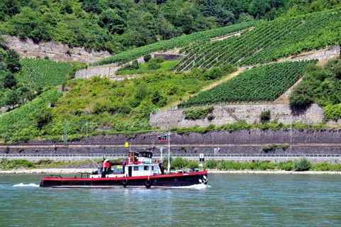 Vineyards near Assmannshausen, UNESCO World Heritage Cultural Landscape Upper Middle Rhine Valley,
