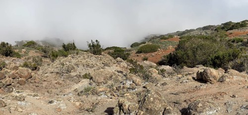 Clouds of fog, yellow earth, erosion, near Arguamul, La Gomera, Canary Islands, Spain, Europe