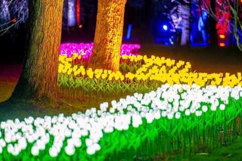 Parkleuchten, event in winter, in the Grugapark in Essen, many different light installations,